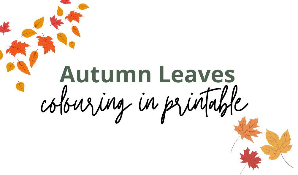 Autumn Leaves - Colouring Pages