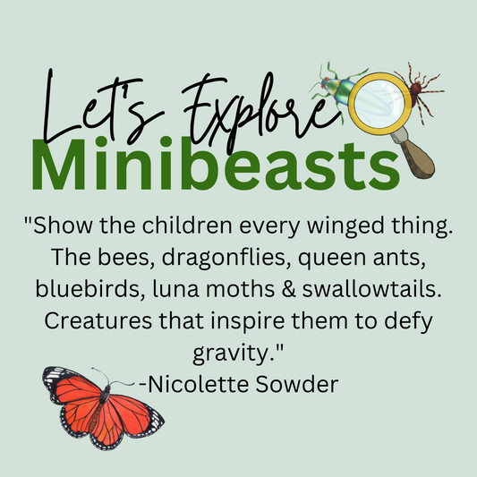 Explore With Me Kit - Minibeasts - Little Explorers Toy Shop - Little Explorers Toy Shop