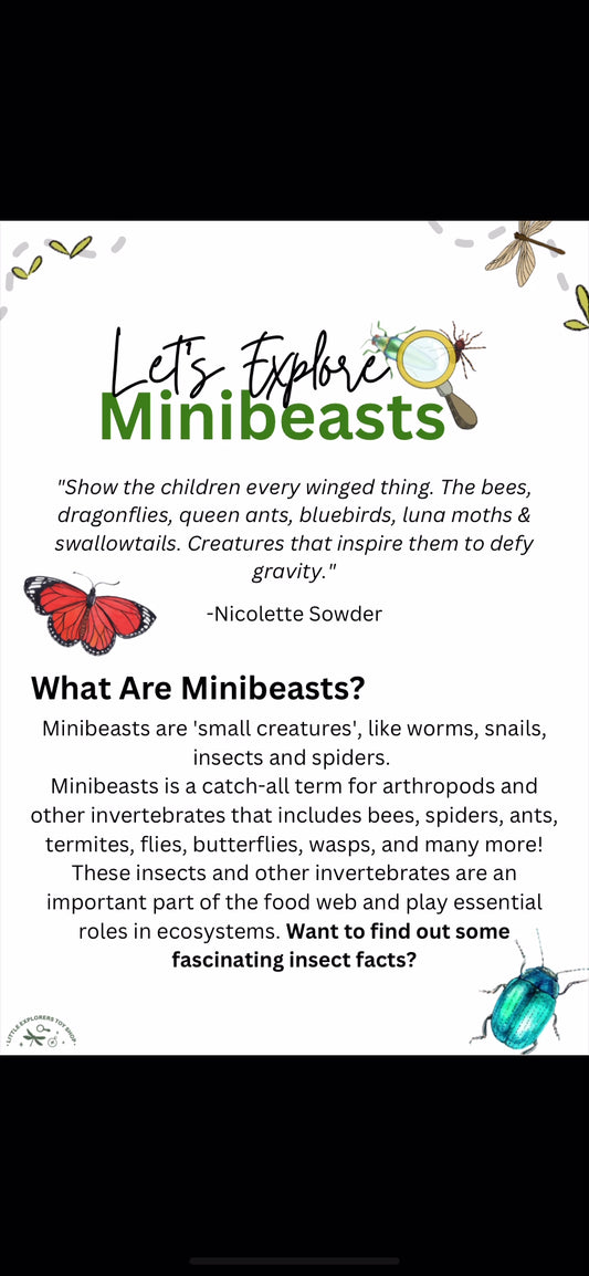 Explore With Me Kit - Minibeasts
