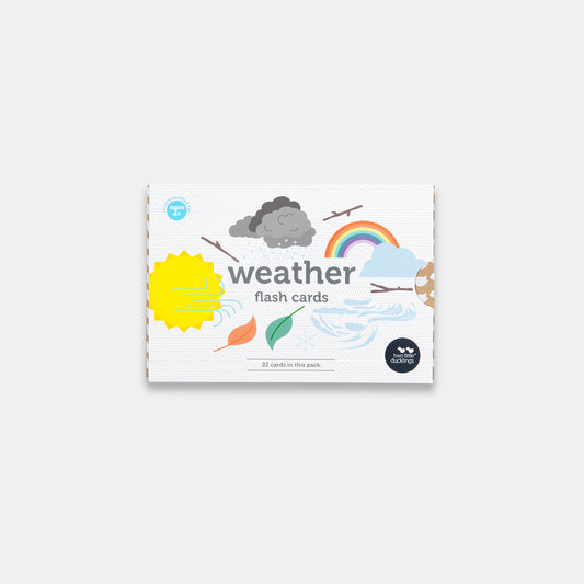 Weather Flash Cards - Little Explorers Toy Shop - Two Little Ducklings